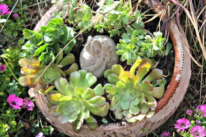 spring succulent container gardening in flower bed, container gardening, flowers, gardening, succulents, Filled the empty terra cotta pot with some succulents and spring bunny yard decor