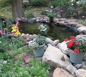 transforming a wilderness into a garden, decks, gardening, landscape, outdoor living, ponds water features, My first project was putting in a pond I dug this with a shovel by hand and today it holds 1200 gallons of water and features a waterfall