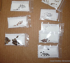 cold stratification method pictures guide seed germination method, flowers, gardening, homesteading, perennials, Cold Stratification using baggie method Instructions guide
