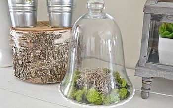 Terrarios de cristal con musgo DIY