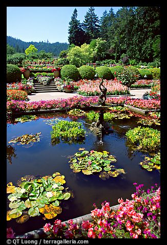 what do you know about italian gardens, gardening