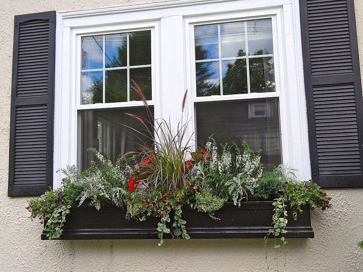 window box samples, curb appeal, gardening, window treatments, windows, Late Summer window box