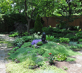 garden tour a beautiful tapestry, flowers, gardening, This small mounded planting includes a varied carpet of fragrant thymes