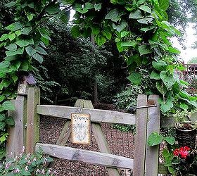 diy garden a simple branch arbor, gardening, Branch Arbor this summer with moonflower purple hyacinth vine covering it