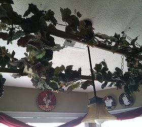 an old rustic ladder put back to use, home decor, repurposing upcycling, An updated view of additional grape vines and grapes I do not want to overload for the reason of showing more of the old wooden ladder