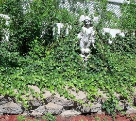 my secret garden in july, flowers, gardening, hibiscus, perennials, raised garden beds, guardian angel statue overcome by ivy in back raised garden have to work on this
