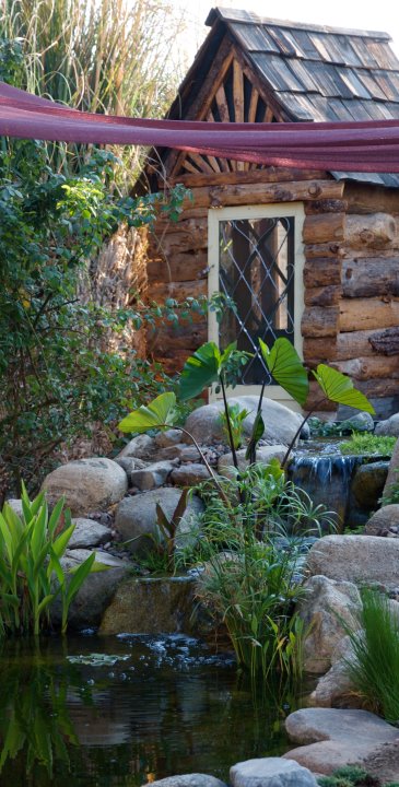 poison apple garden, outdoor living, ponds water features, So much interest in this great garden with the tranquil sound of a waterfall you can get lost for hours