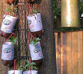 homemade topsy turvy bags hanging plastic bottle planters, container gardening, crafts, gardening, repurposing upcycling, This pic is a close up of the 8 pepper plants that I hung from the 4 plate rack turned upside down