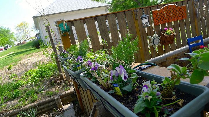 beginning to look like spring, Window boxes on the fence