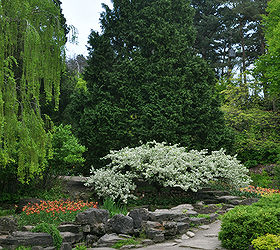 spring preview the rockery, gardening
