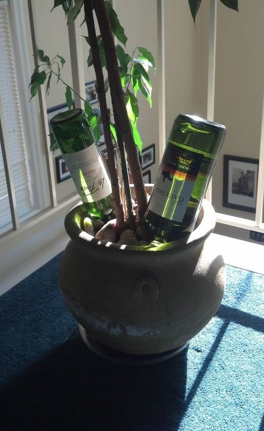 upcycling wine bottles to a plant nanny, gardening, repurposing upcycling