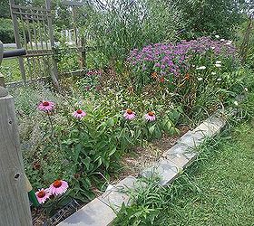 our perennial flower beds, flowers, gardening, perennials, More cool plants