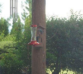 plants to attract hummingbirds, container gardening, flowers, gardening, pets animals, Syrup feeders are loved by Hummingbirds but the correct recipe is very important