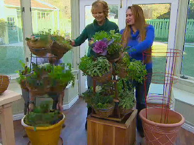 living spice rack on home amp family show hallmark channel with shirley bovshow, container gardening, gardening, Here s a screen shot of what the living spice rack looks like All you need is a wood or metal tomato cage large container casters or plant dolly wire baskets coco liner and herbs