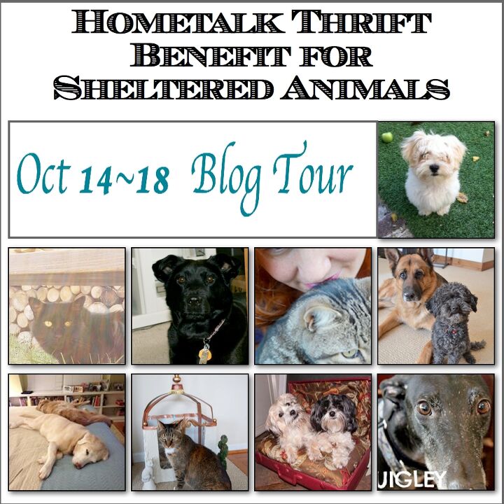 join the hometalk thrift benefit blog tour for sheltered animals, pets animals