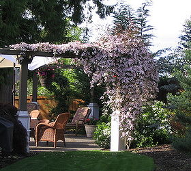 Need Some Inspiration For Revving Up Your Arbor Or Pergola This Spring?  We Think This Will Help!