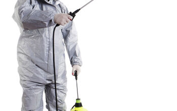 5 Tips on How to Book an Expert Pest Exterminator