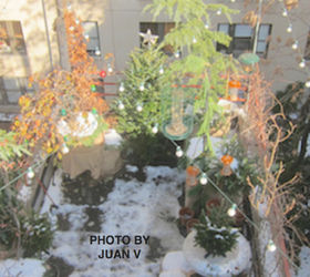 urban garden winterizing update part three, container gardening, flowers, gardening, seasonal holiday d cor, urban living, wreaths