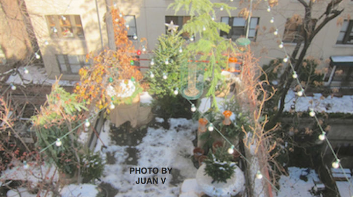 atualizao winterizing urban garden parte 3