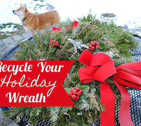 recycle your holiday wreath, seasonal holiday d cor, wreaths, My sad dried out browning wreath before I took it apart