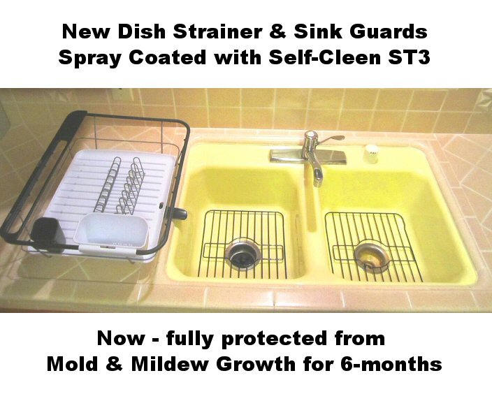 dish strainer mold mildew problem problem solved