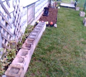 cinder block gardening, gardening, cinder blocks are placed in front of my vinca vine and i will probably plant my herbs and or peppers in it cinder blocks are 1 41 at home depot