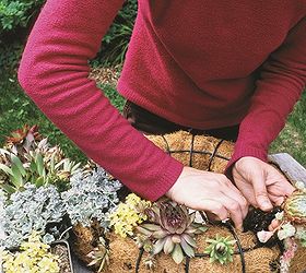 learn how to make a succulent wreath, crafts, flowers, gardening, succulents, wreaths, After you fill the wreath form with sand and potting soil you will reassemble the wreath form and make holes with a knife where the plants will go For full instructions and a complete listing of succulents used visit the blog