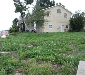 before and after, home improvement, landscape, outdoor living, pool designs, The yard was mostly full of weeds and prickers It s a pie shaped lot this photo was taken from the point