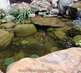 amazing backyard waterfall fish pond with paver patio transformation greece ny by, Backyard Ecosystem Fish Pond with LED lighting Waterfalls Stream in Greece NY by Acorn Landscaping of Rochester NY