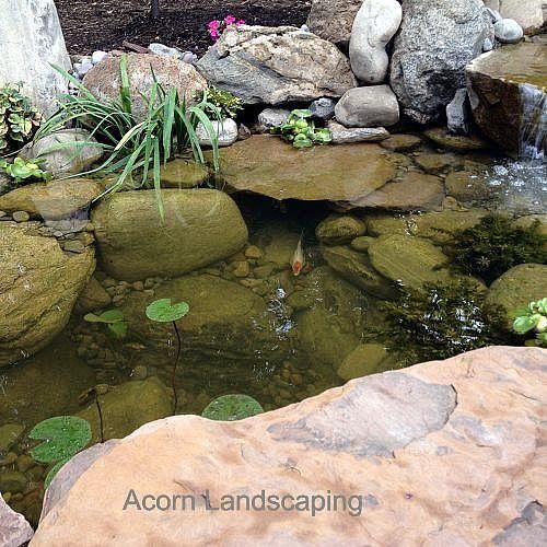 increible estanque de peces en cascada en el patio trasero con la transformacion de, Estanque de peces en el patio trasero con iluminaci n LED cascadas arroyo en Grecia NY por Acorn Landscaping de Rochester NY