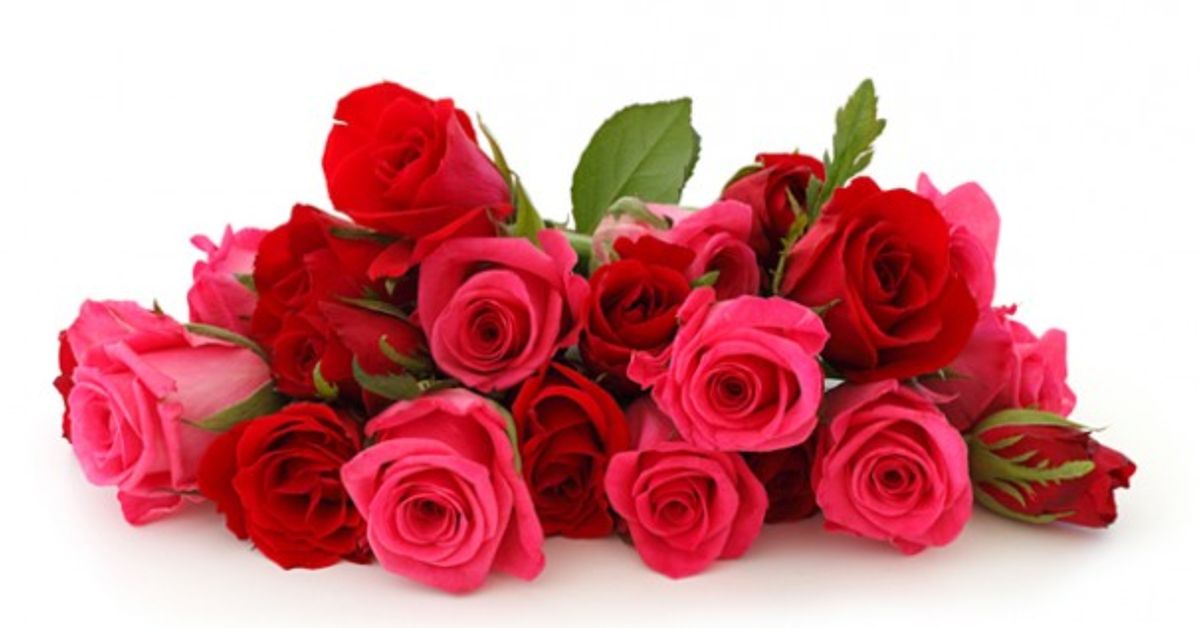 Valentine's day flowers! Getting the most from Valentine's Day flowers | Hometalk