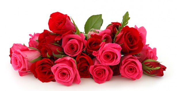 getting the most from valentine s day flowers, flowers, gardening, valentines day ideas