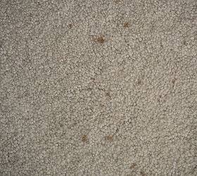a chemical free way to get carpet stains out, cleaning tips, flooring, go green, We moved in to our house two years ago and these stains were there already They felt and looked like some sort of grease stain