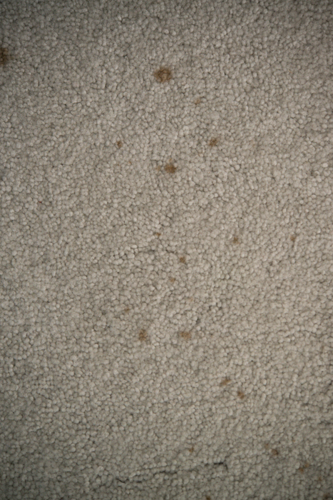 una forma libre de quimicos para eliminar las manchas de la alfombra