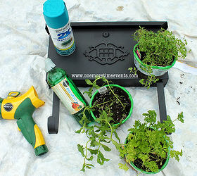 planting a herb garden in a mailbox, gardening, What you will need