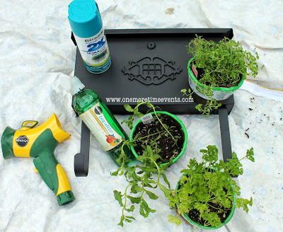 planting a herb garden in a mailbox, gardening, What you will need