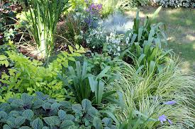 foliage plant combinations forget the flowers, flowers, gardening
