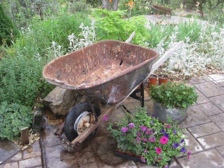 how to plant a rusty wheelbarrow for the garden, gardening, repurposing upcycling, All ready to plant I used landscape fabic to line the barrow too many bullet holes in this one