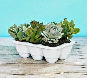 this easter hostess gift keeps on giving, gardening, succulents, Present proudly to your host ess