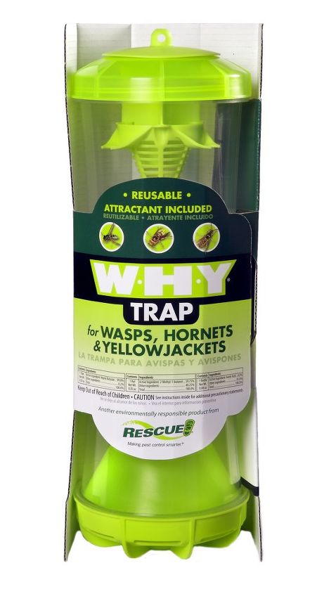 catch the queen to control wasps hornets yellowjackets this summer, pest control