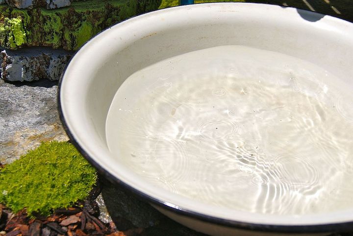 summer foot wash station, outdoor living, I found this basin for 25 at the Alameda Flea Market