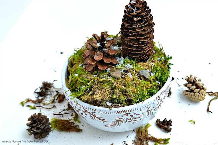 cmo hacer un terrario de conos de pino de invierno