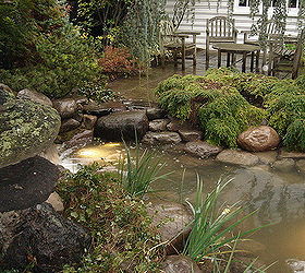 backyard waterfall water garden pond restoration remodel repair with led lighting, landscape, outdoor living, ponds water features, Waterfall Water Feature Ecosystem Water Garden Pond is Repaired Restored Remodeled and Installed for many more years of enjoyment for this Rochester NY Backyard Led Lighting System is on a timer and will turn on and off automatically
