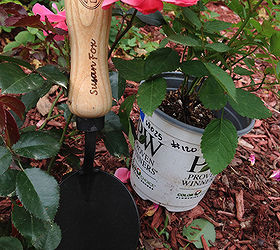 celebrate national rose month are you in or out, flowers, gardening, Dewitt Tulip Trowel Essential Planting Tool