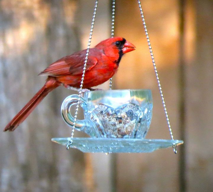 16 pics here with directions teacup hanging feeders