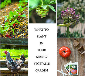 planning your spring vegetable garden, gardening
