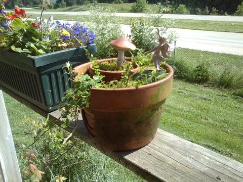fairy pot for mom, gardening