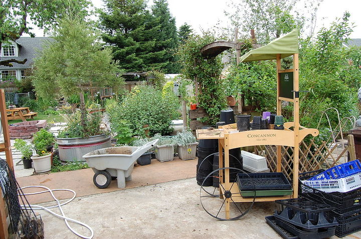my backyard habitat, gardening, outdoor living, patio, pets animals, planting area