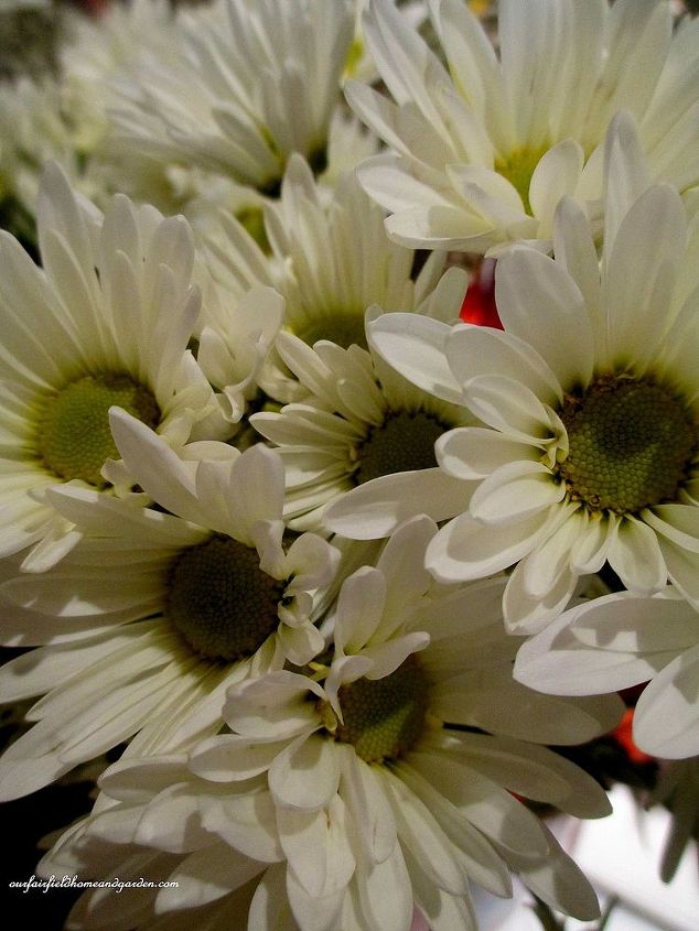 diy april showers gathering vase bouquet, flowers, gardening, home decor, Daisy Mums