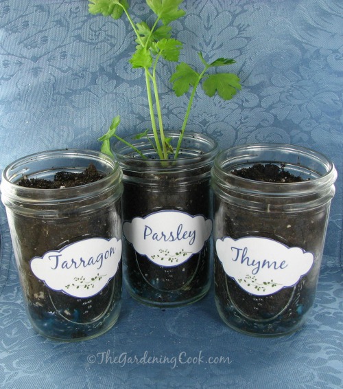 grow your herbs indoors in this cute diy project, container gardening, crafts, flowers, gardening, mason jars